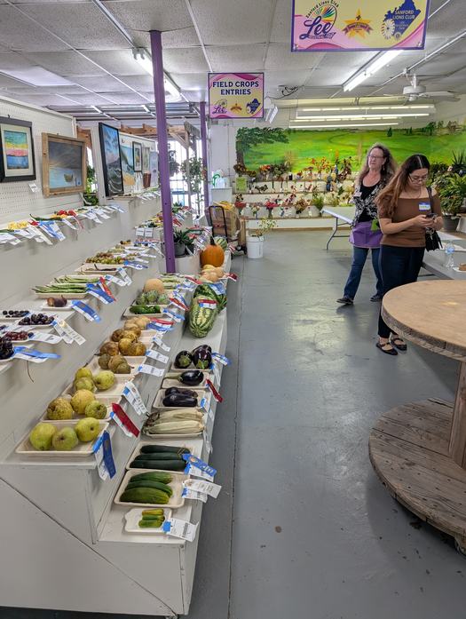 vegetables on shelves with volunteers watching
