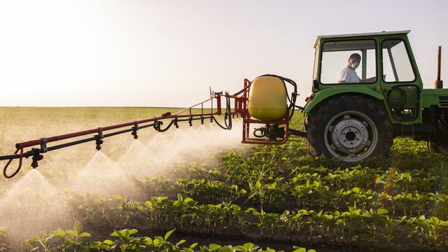 A tractor spraying a field of soybeans