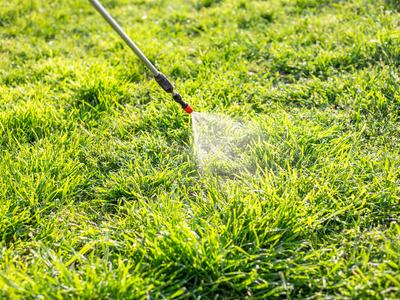 Spraying a lawn for insect pests