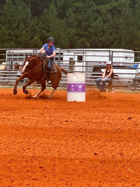 Durham 4-Her riding horse in competition