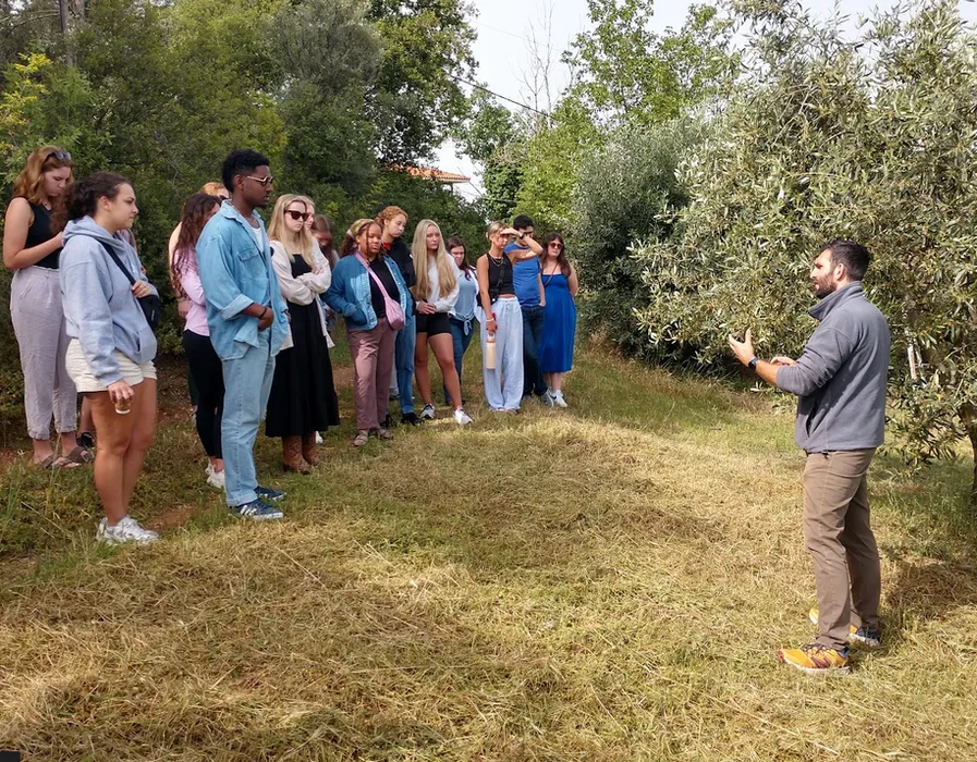 Klea Olive Grove near Thessaloniki was the perfect setting for SEE Inside Greek Agriculture Scholars to learn olive oil production from Mr. Dimitrios Psathas.