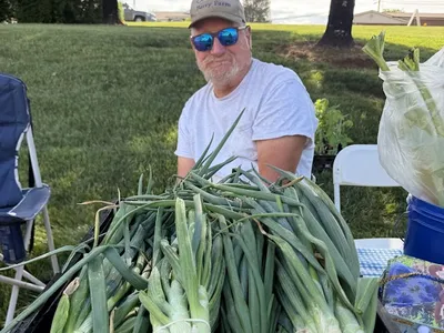 farmers market vendor with produce