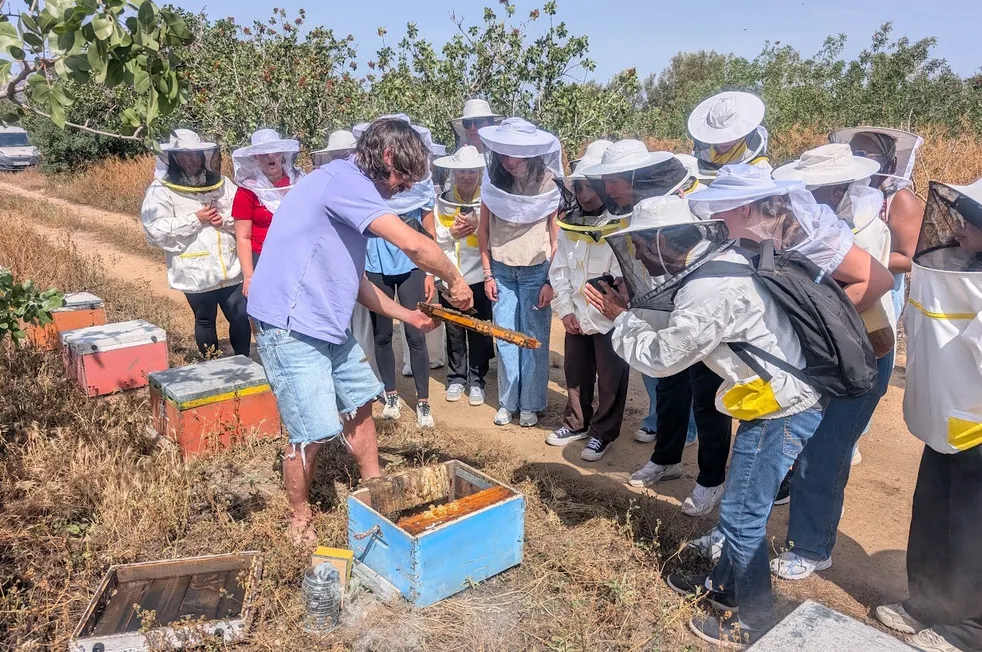 Beekeeping is among the many agricultural enterprises featured. SEE Inside Greek Agriculture scholars go inside the hives and engage in a honey tasting lesson to extend their knowledge.