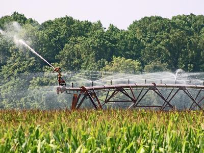 pesticides