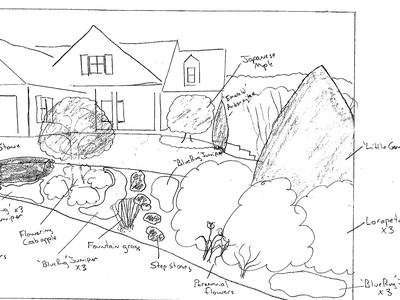 landscape design drawn by an amateur