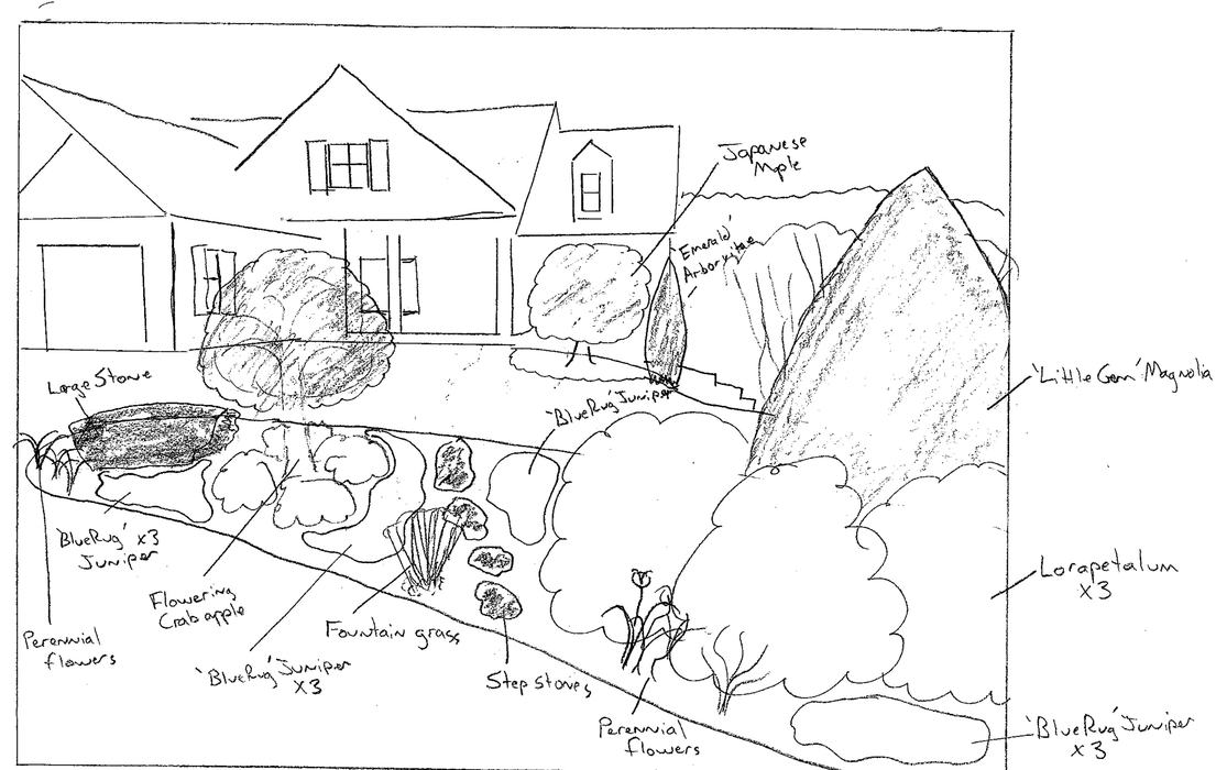 landscape design drawn by an amateur