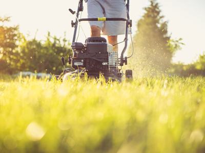 mower and lawn care