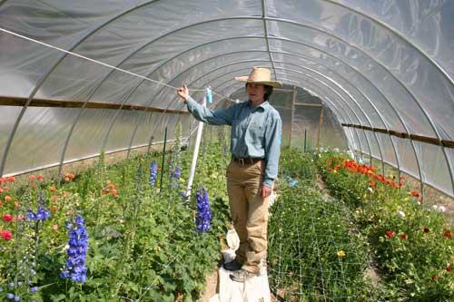 Leah in one of her tunnels with flowers