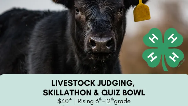 Image of a black cow, with dates and times of Livestock Judging program.