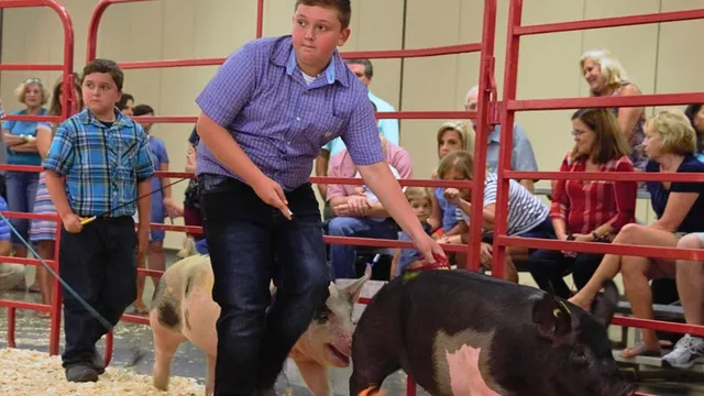 two boys showing pigs