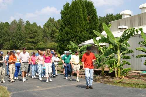 Group of people walking past banana plants beside a light-colored industrial building