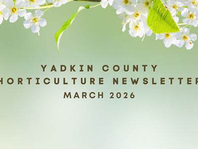 Yadkin Horticulture March Newsletter