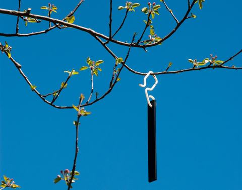 Mating disruption product in hanging from apple tree in orchard