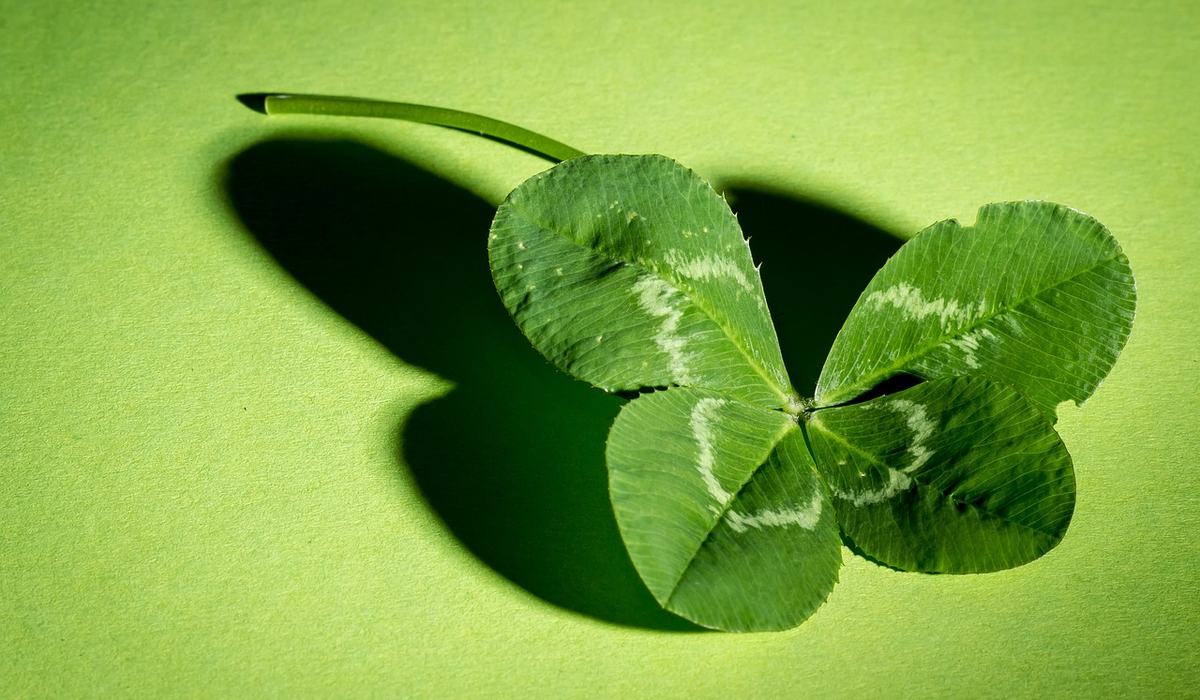 The Clover - Robeson County Center