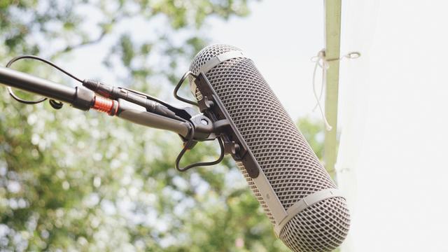 A microphone in front of green foliage