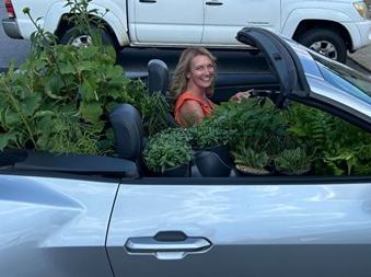 lady in convertable car load of native plants