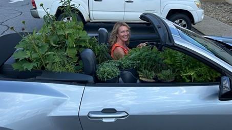 lady in convertable car load of native plants