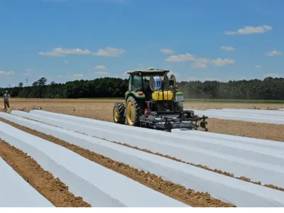 field covered in plastic. tractor with plastic layer attached on the back