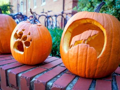 NC State themed jack-o-lanterns