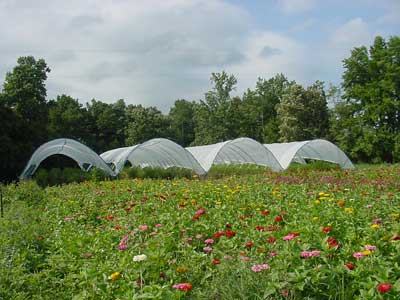 Haygrove tunnels