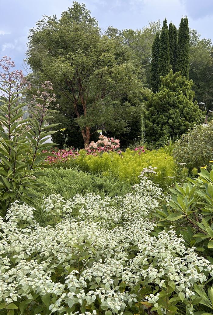 pollinator garden