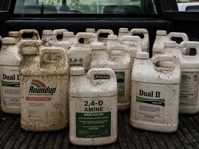 Used, old chemical jugs in the back of a truck.