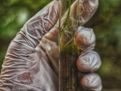 Soil Test