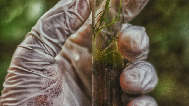 Soil Test