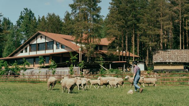 homestead