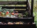 compost pile