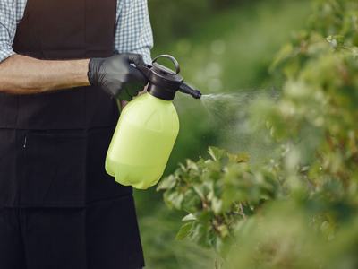 chemical applications on shrub