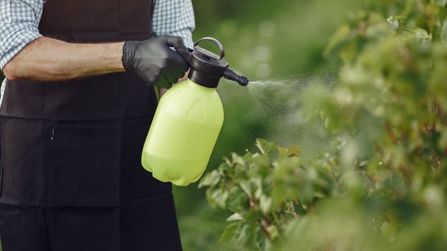 chemical applications on shrub