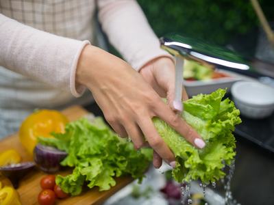 Individual practicing food safety recommendations by rinsing fresh lettuce under running water before preparing