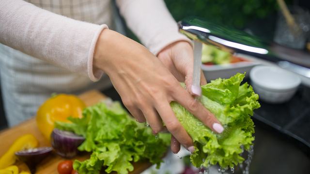 Individual practicing food safety recommendations by rinsing fresh lettuce under running water before preparing