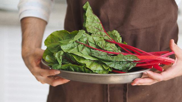 Person holding plate of swiss chard
