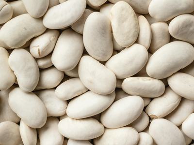 Close up of white beans