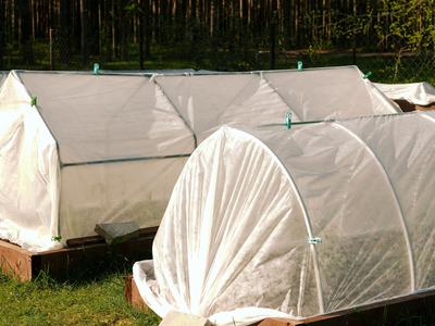 Covered gardening bed during the winter
