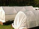 Covered gardening bed during the winter