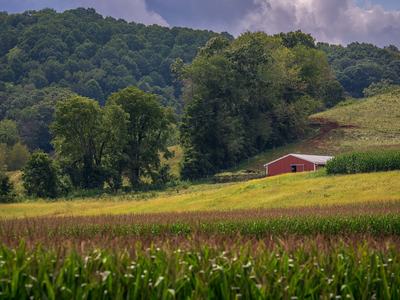 This is a farm photo to attract attention to this post about losing our 4-H agent.