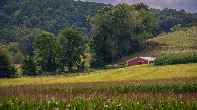 This is a farm photo to attract attention to this post about losing our 4-H agent.