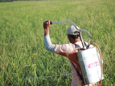 A man in a field holding the metal lever on his backpack that is spraying the grass.