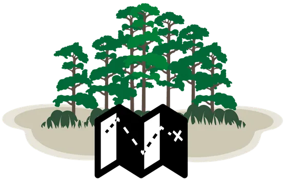 Forest and map illustration indicating planning.