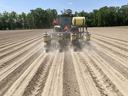 Planting peanuts near Lewiston North Carolina