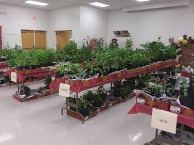 An example of previous sales with Perennial and annual plants available for sale.
