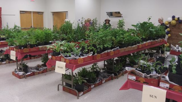 An example of previous sales with Perennial and annual plants available for sale.