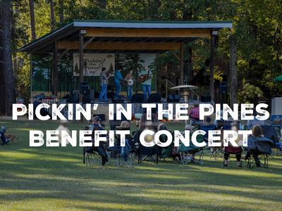 grassy area filled with people enjoying a concert outside
