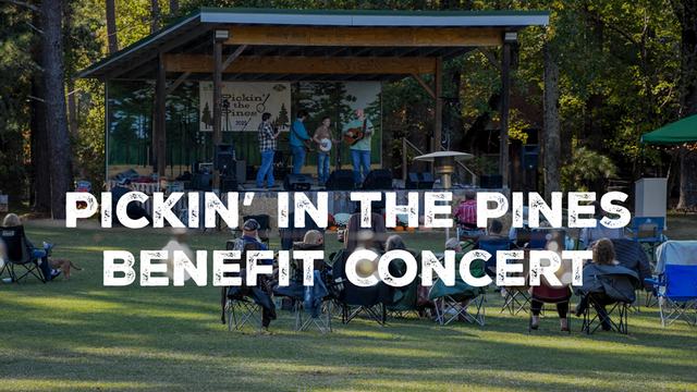 grassy area filled with people enjoying a concert outside