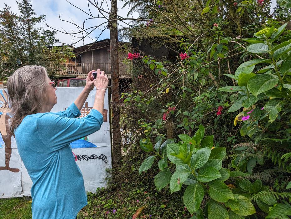 person taking a picture of a flower with a cell phone