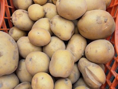 basket of russet potatoes