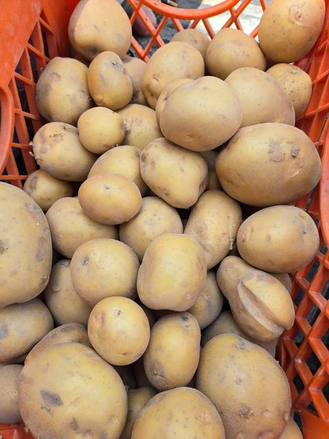 basket of russet potatoes